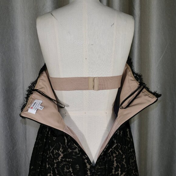 Robert Rodriguez Strapless Fit & Flare Lace Dress - Size 10 - Picture 9 of 12